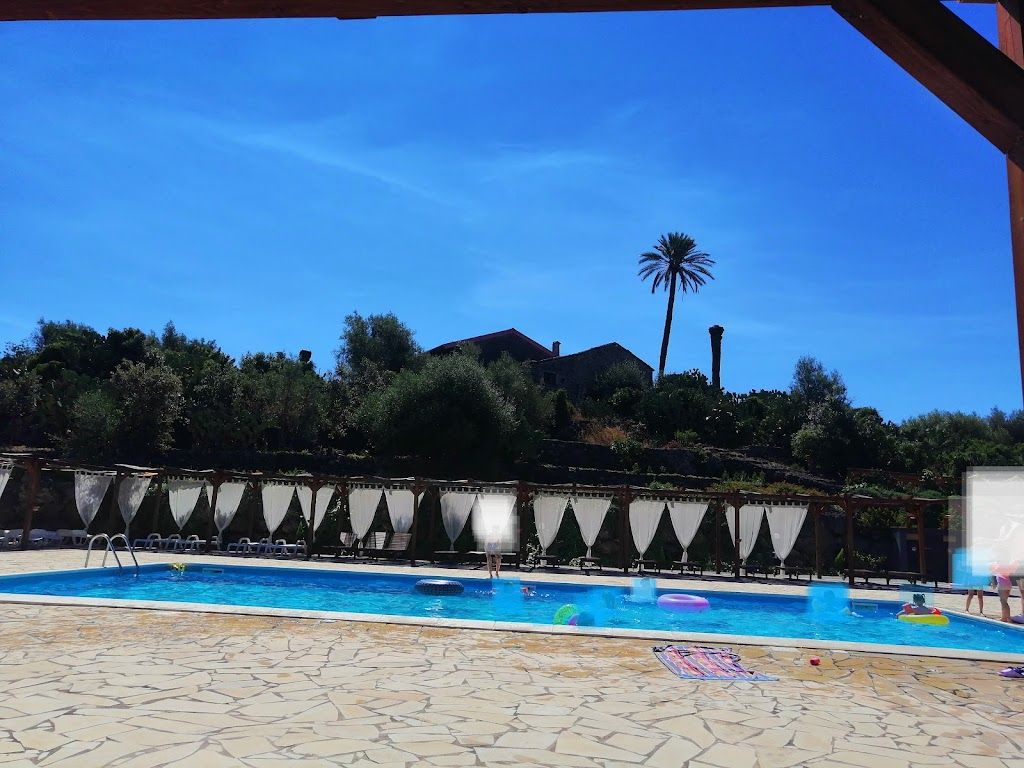 Famiglie e bambini giocano nella piscina all'aperto, con il casale e la palma sullo sfondo